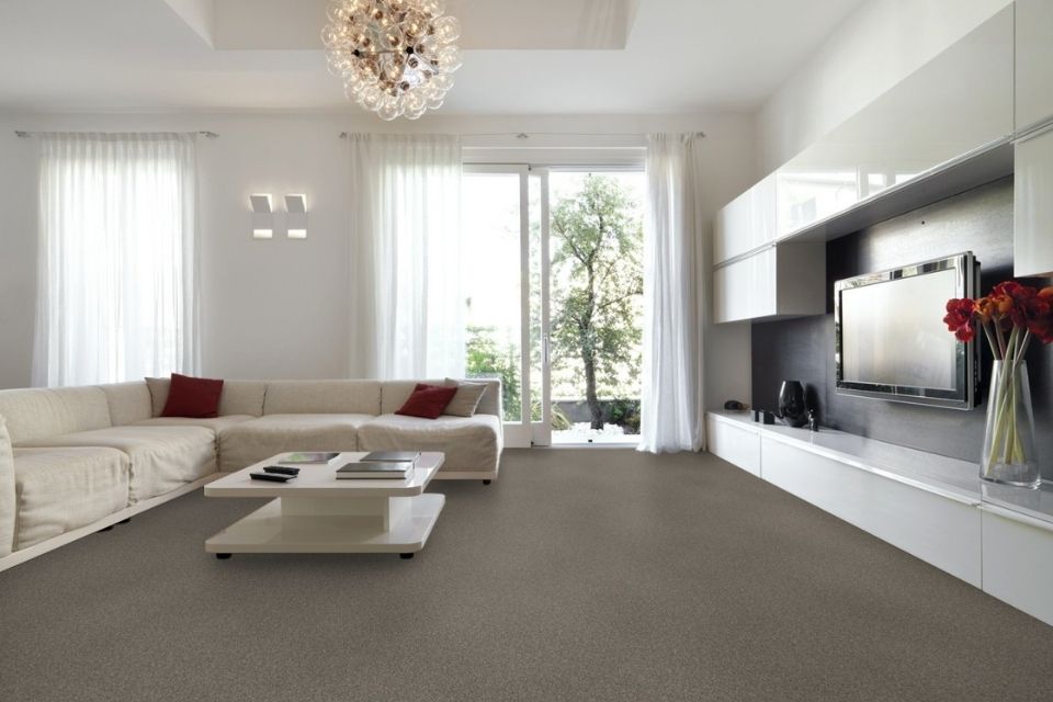 Affordable carpet in living room with couch and television